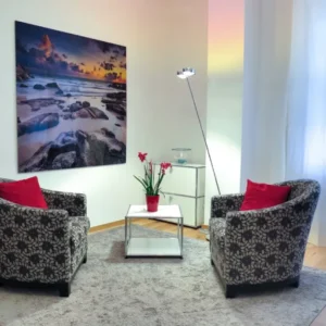 Stylish Printed Sofa Chairs